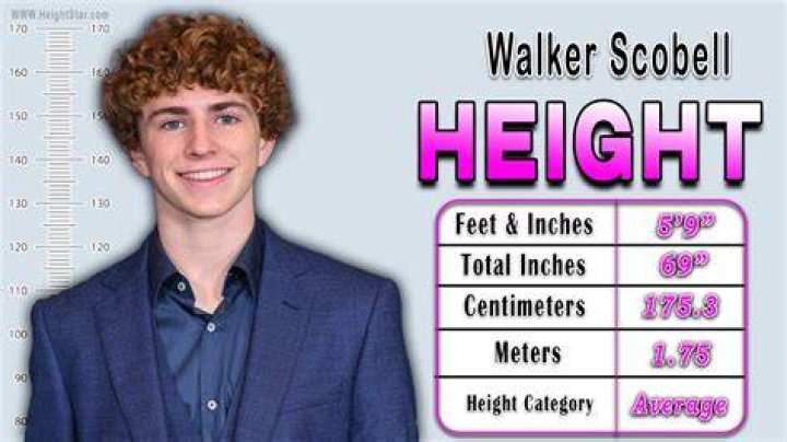 Walker Scobell Height How Tall is the New Percy Jackson Actor?