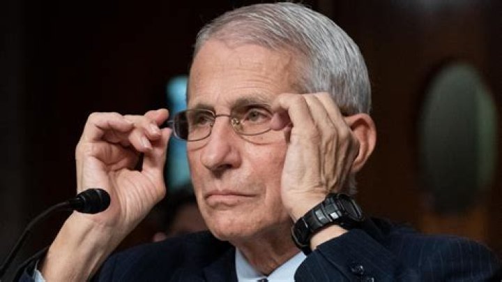 Watch Dr. Anthony Fauci hopes for a 'real degree of normality' by November