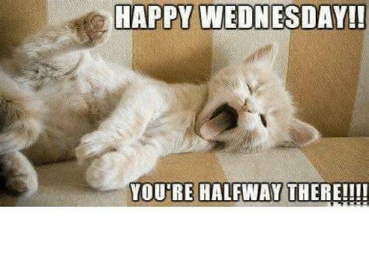 Wednesday Meme Work IdleMeme