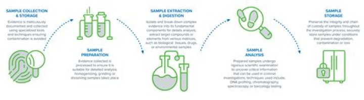 What are some free forensic disk examination tools?