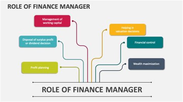 What are the duties and responsibilities of a finance manager?