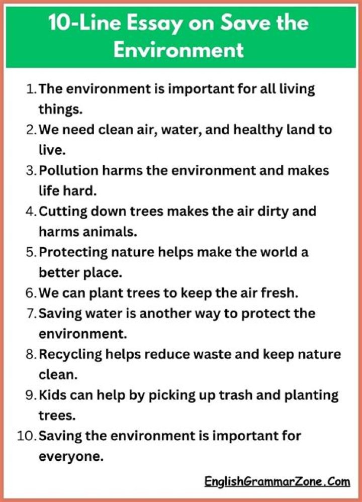 What can school students do to save the environment essay?