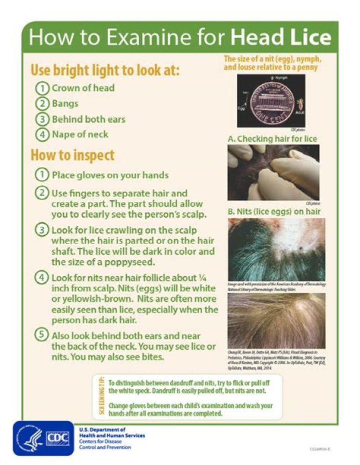 What chemicals are in lice treatment?