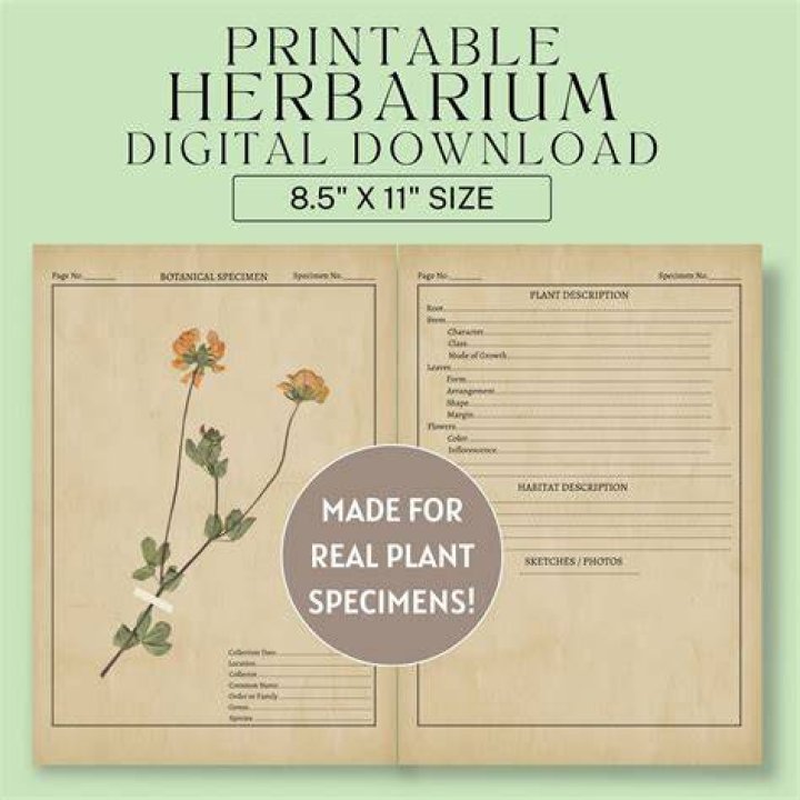 What do you write on a herbarium sheet?