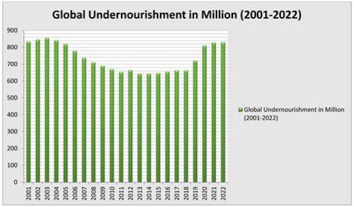What does global undernourishment mean?