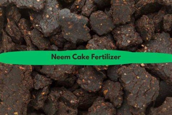 What does neem cake contain?