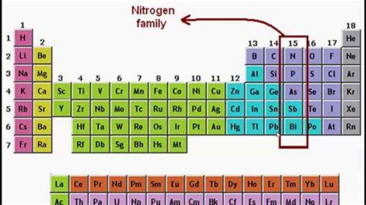 What family is nitrogen in on the periodic table?