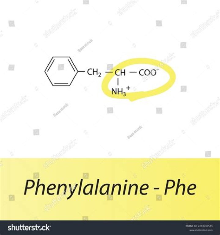 What functional groups are present in phenylalanine?