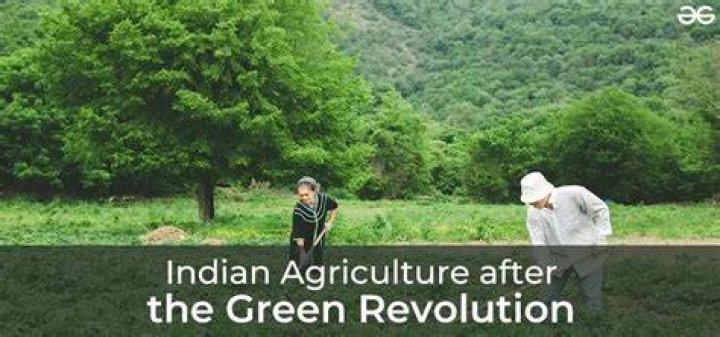 What happened after Green Revolution in India?
