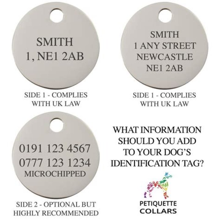 What information should be on a dog tag?