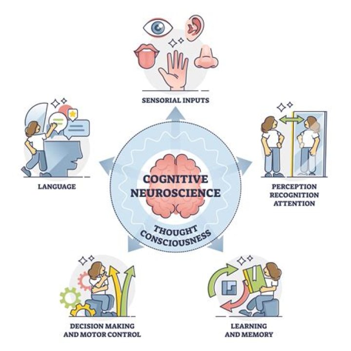 What is culture in cognitive psychology?