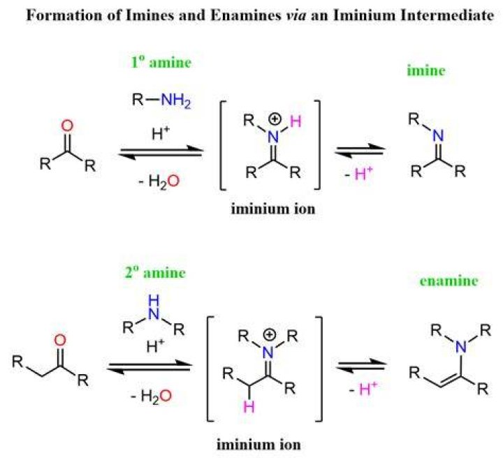 What is iminium salt?