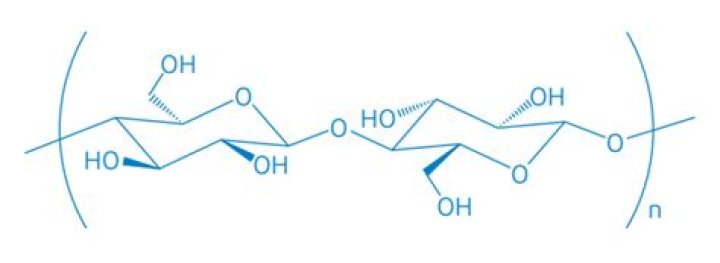 What is Methocel?