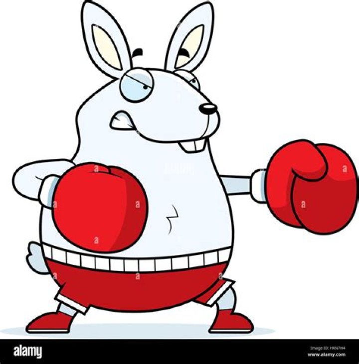 What Is Rabbit Punching in Boxing? Boxing Ready
