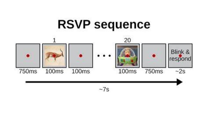 What is RSVP in communication?