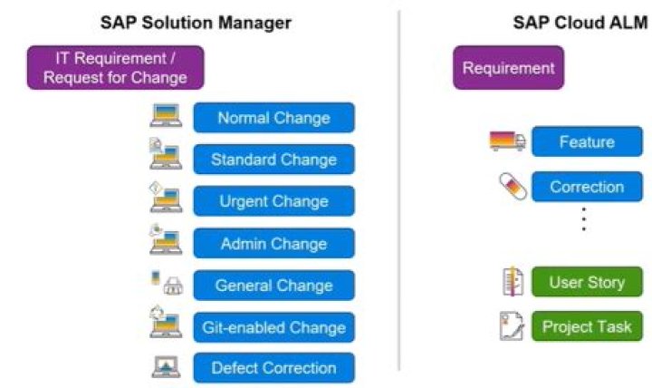What is SAP Change Management?