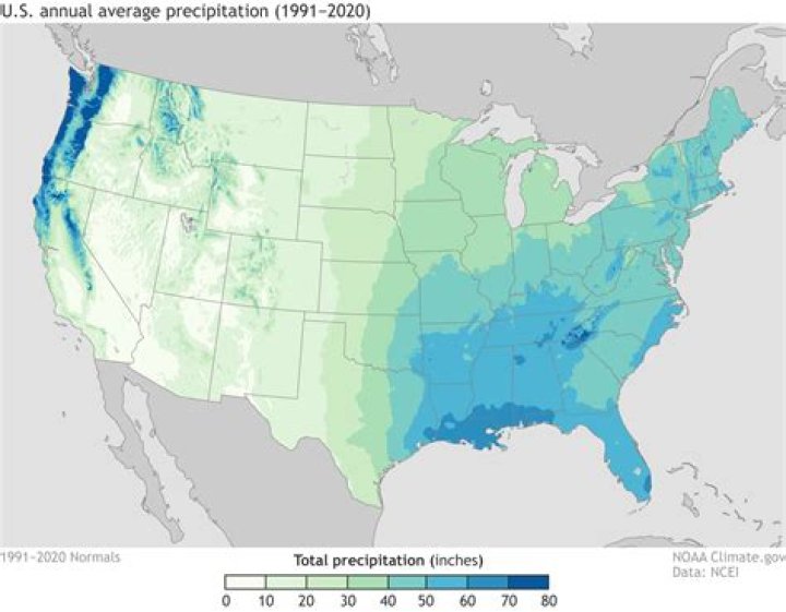 What is the average annual precipitation in Los Palma?