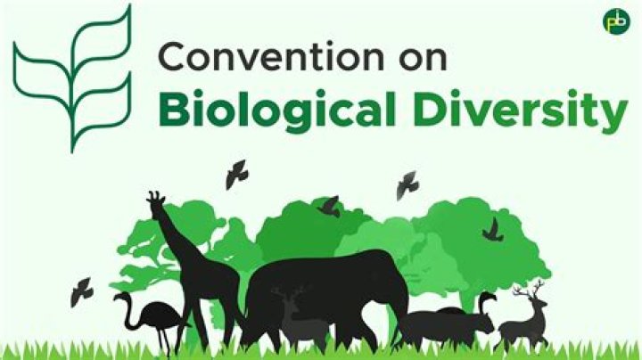 What is the Convention of biodiversity?