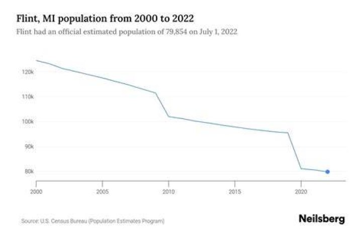 What is the demographic of Flint Michigan?