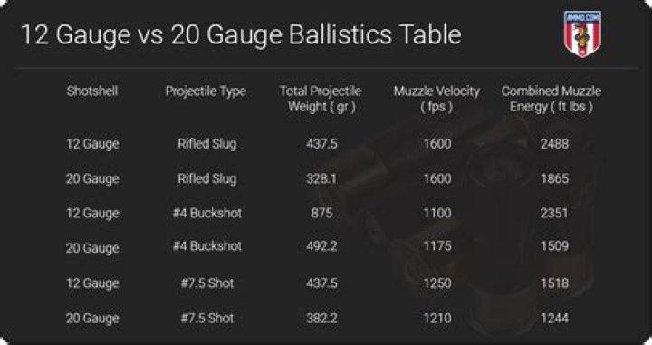 What is the effective range of a 20 gauge slug?