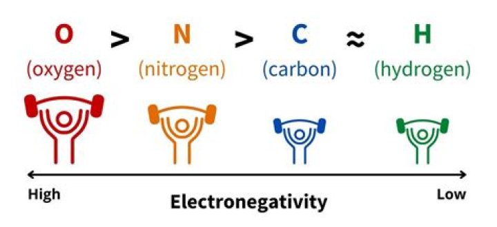 What is the electronegativity between carbon and nitrogen?