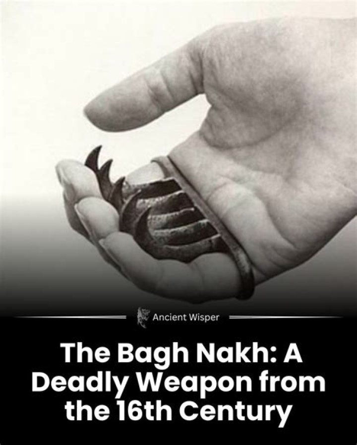 What is the meaning of Bagh Nakh?