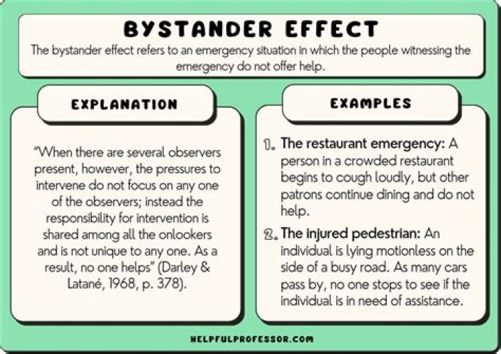What is the meaning of bystander effect?