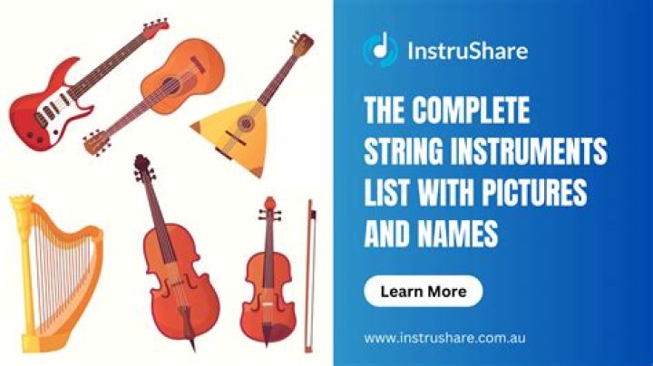 What is the meaning of string instrument?