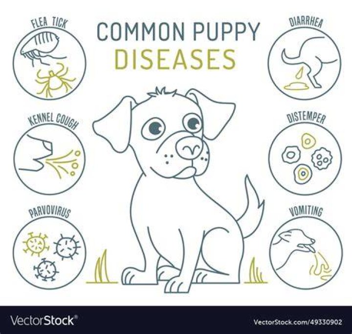 What is the most common illness in dogs?