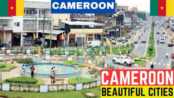 What is the most populated town in Cameroon?