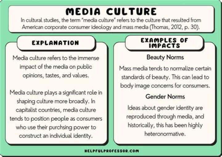 What is the relationship between media culture and society?