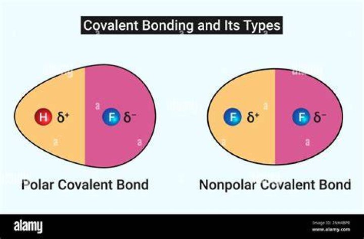 What is the structure of a polar covalent bond?