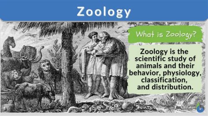 What is Thelytoky in zoology?
