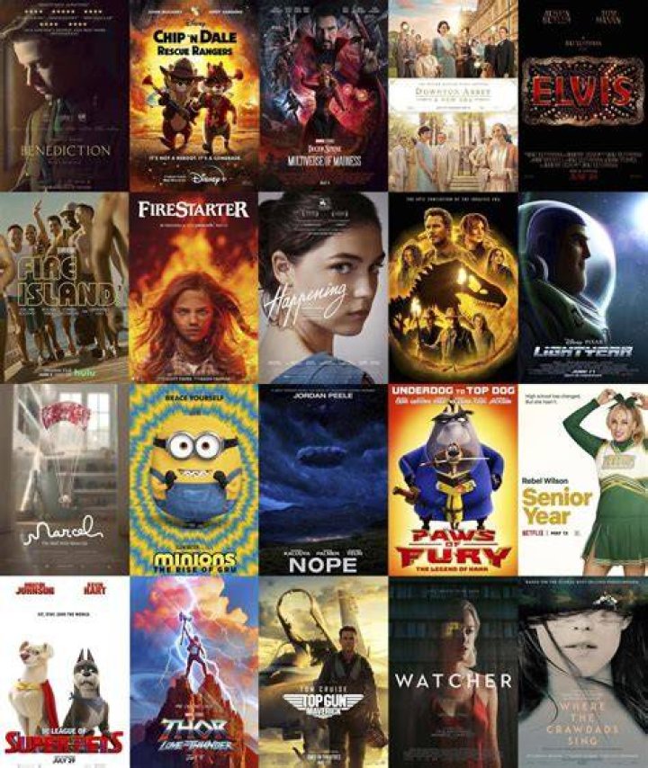What movies came out in 2013 in theaters?