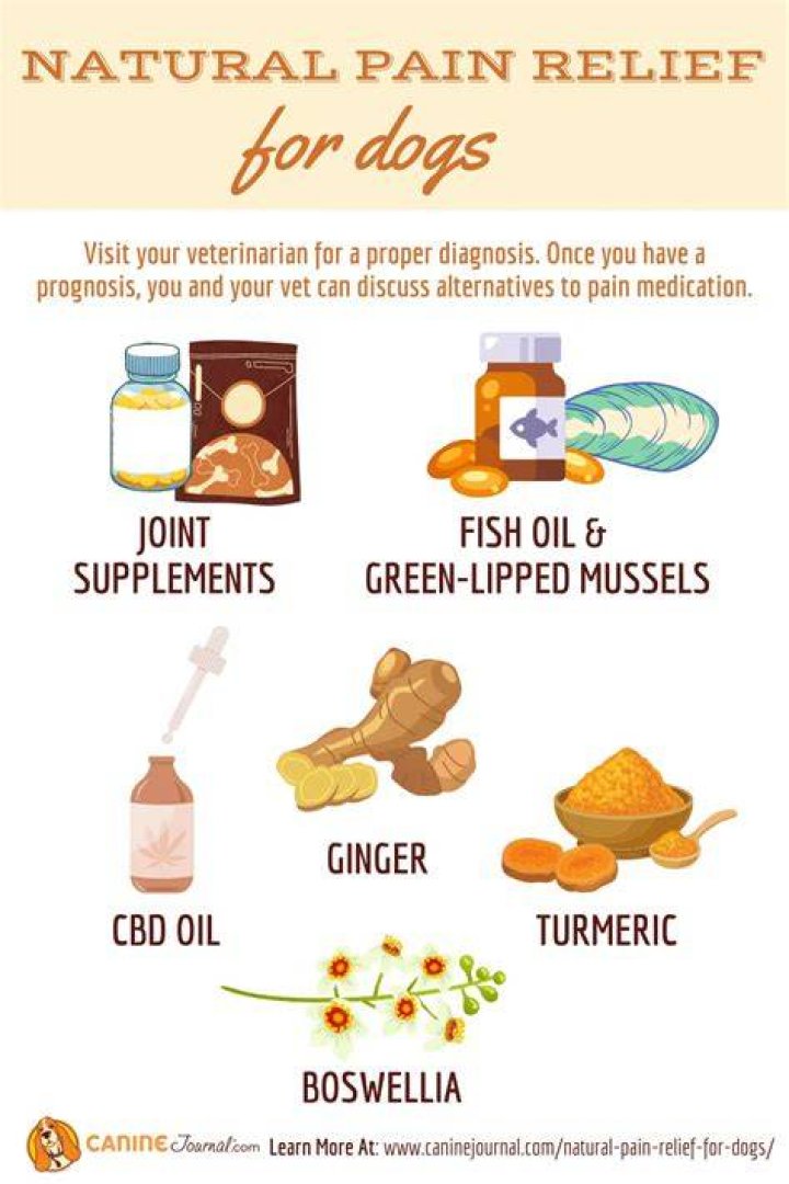 What natural remedies can I give my dog for kidney failure?