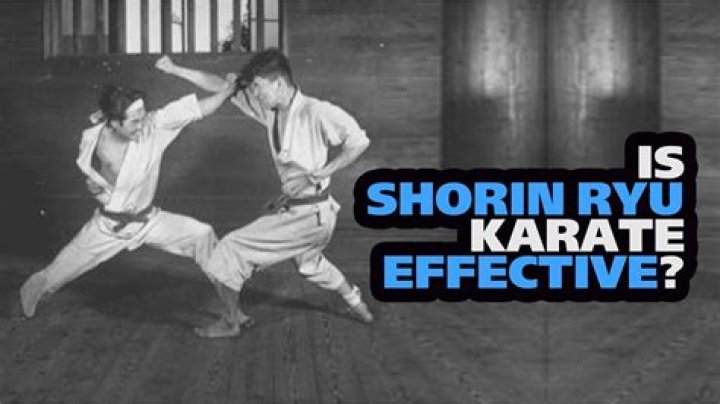 What type of karate is Shorin Ryu?