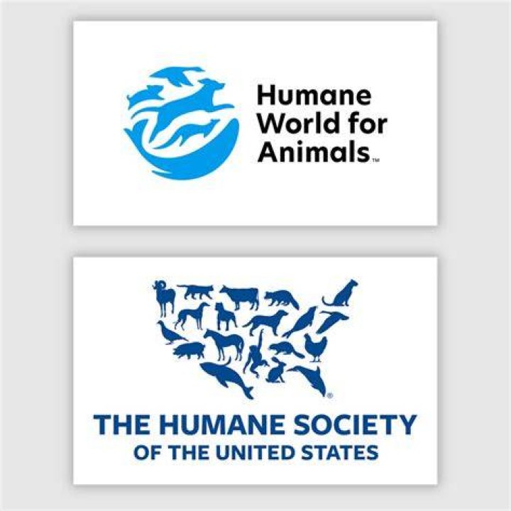 Where is the Humane Society of the United States located?