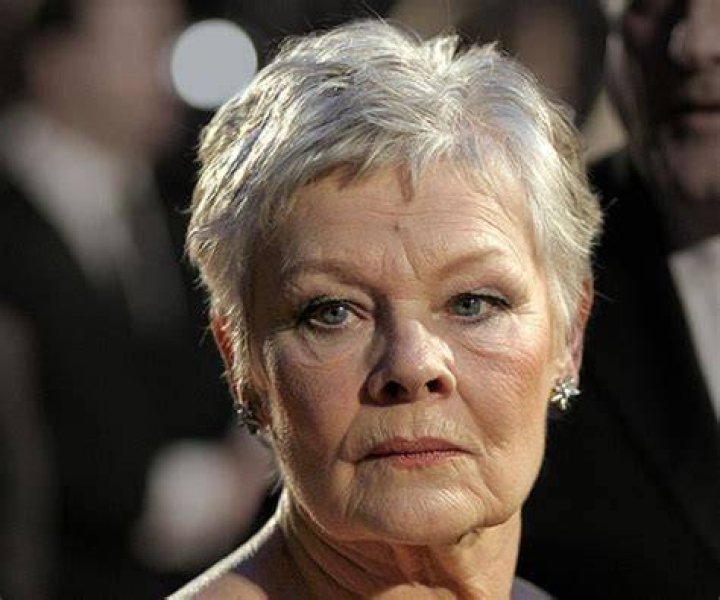 Who Are Rainbow Dench Parents, Is She Related To Judi Dench? British Child Actress Wiki