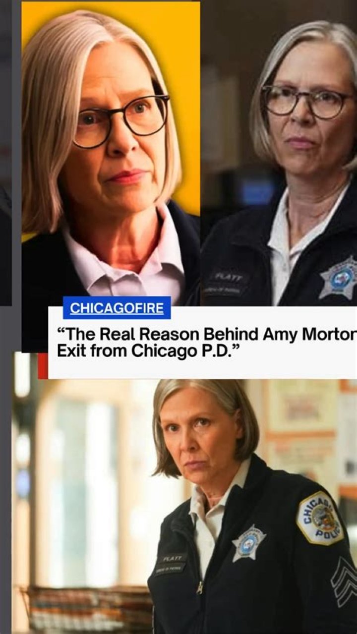 Who Is Amy Mortons Husband Know Her Net Worth Salary Married Life