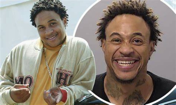 Who Is Orlando Brown? More About The Disney Star Hollywood Life