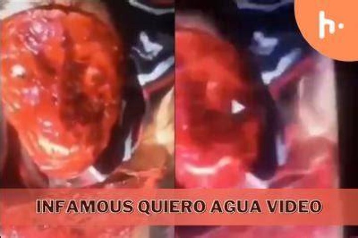 Who Is Quiero Agua? Check Viral Video On Twitter & Reddit