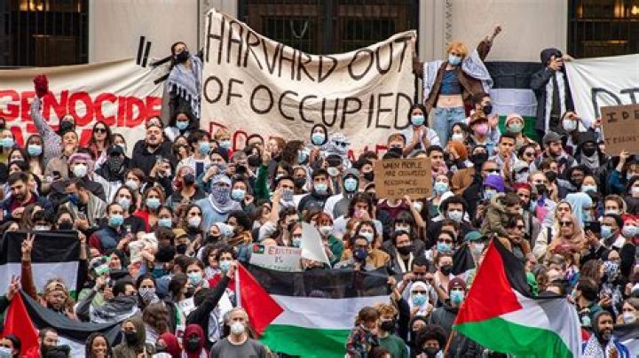 Why did most protesters oppose the war?