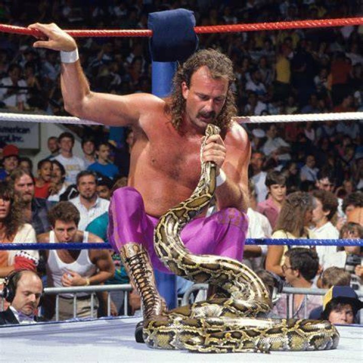 WWE Legend Jake The Snake Roberts Is Still Standing Rolling Stone