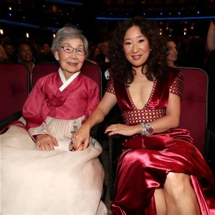Young-Nam Oh: Who is Sandra Oh's Mother?