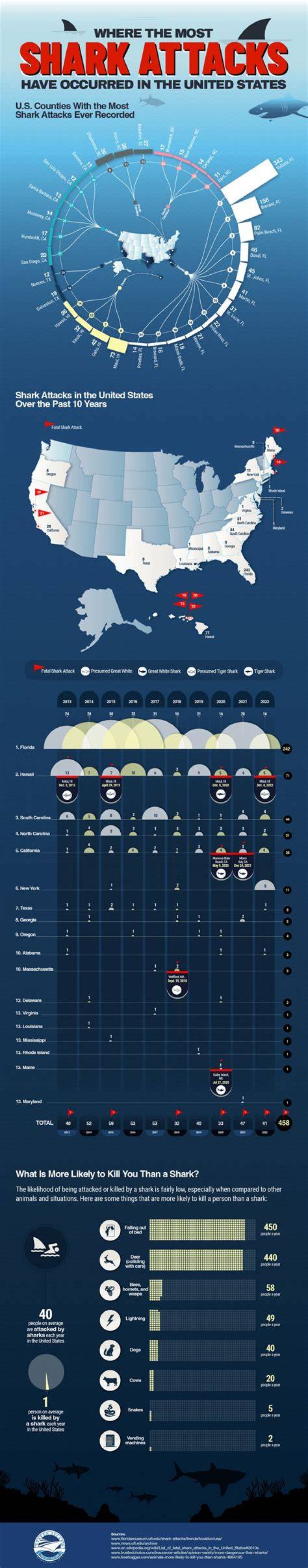 Your Guide To Shark Attacks In Manila
